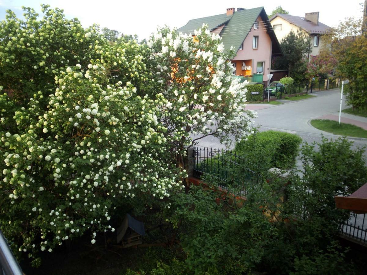 Mieszkanie Na Zielonej Tanie I Wygodne Noclegi Człuchów 外观 照片